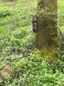 Soul Apartment Vrnjačka Banja