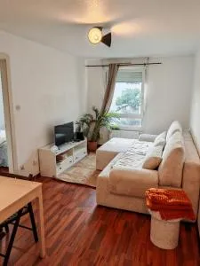 Charmant appartement au centre - Walscheid