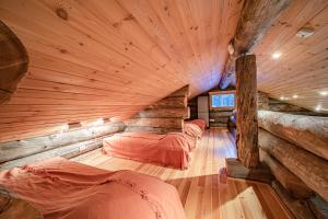 Charming Cottage Levi