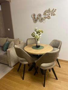 Soul Apartment Vrnjačka Banja