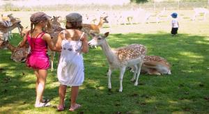 Campings Camping Paradis du Quinquis - 4 etoiles - Location estivale en Finistere Sud : photos des chambres