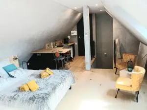 L'Ecrin de Velours Elégant-Paisible - Rosheim