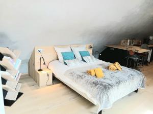 Appartements L-Ecrin de Velours Elegant-Paisible : photos des chambres