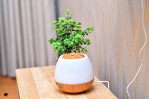 Cozy BnB Tsavo Gardens Imara daima