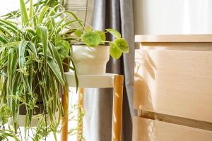 Darling Street Residence - Self Check-In Only