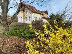 Horpácsi Európa Pihenő Központ - Csesztve