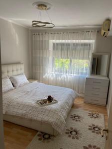 The Center Spot Shkoder