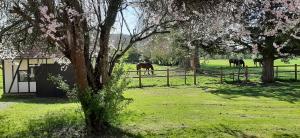 Maisons de vacances Le Clos Saint Martin : photos des chambres