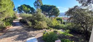Appartamenti in villino bifamiliare Sarra di Entu