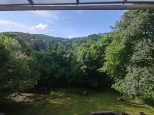 Vadrózsa Vendégház