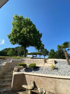 Villas Comme dans le sud : photos des chambres