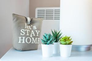 Apartment Buena Vista