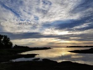 Appartements AMARRE Gite Bambou T2 Chambre independante : photos des chambres