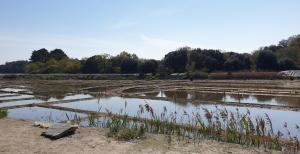 Appartements AMARRE Gite Bambou T2 Chambre independante : photos des chambres