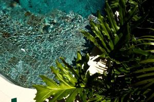 Luxury villa 2-Bedroom with private pool in Uluwatu