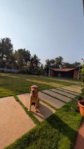 Eeshaavasya Homestay