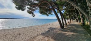 Istrian Blue Pearl