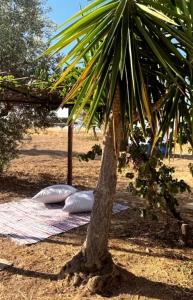 Casa do Montinho- Small Private House