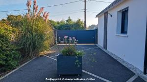 Appartements AMARRE Gite Bambou T2 Chambre independante : photos des chambres