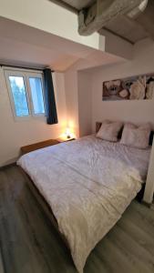 Appartements Magnifique F2 du bien etre : photos des chambres