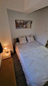 Appartements Magnifique F2 du bien etre : photos des chambres