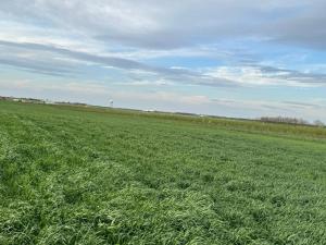 Belgrade Airport luxury 2 room