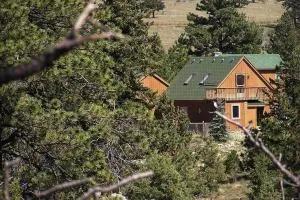 Laughing Place - Drake