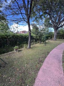 Appartements MORIANI PLAGE Studio climatise 4 pers B2 : photos des chambres