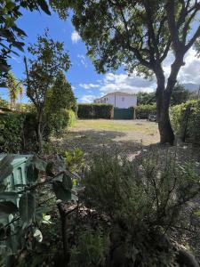 Appartements MORIANI PLAGE Studio climatise 4 pers B2 : Studio