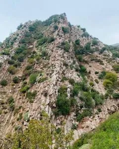 Dar tamazirt - Oulad Hamdane