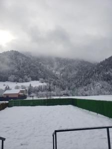 Wood cottage in Borjomi