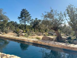 Villas Inamorata : photos des chambres