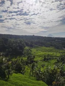 Gunza Bed and Breakfast - Angsri