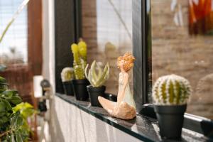 Magnolia Terrace by Amazing Madeira