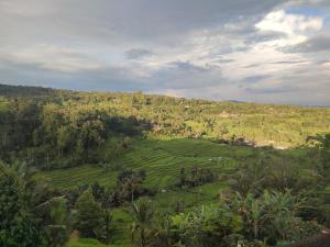 Gunza Bed and Breakfast