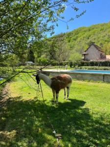 Maisons de vacances Les Pieds dans l'eau, Gite Le Blagour : photos des chambres