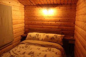 Beautifully Restored Log Cabin