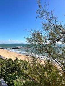 Palm Court next to the Sea 5 minutes from the Beach