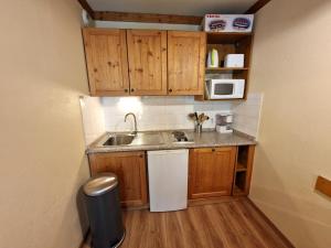 Appartement 2 pièces, 4 personnes, proche télécabine et commerces - FR-1-265-305