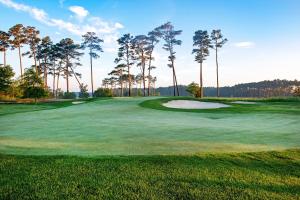 Bayside Resort --- 31531 Winterberry Pkwy