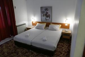 Standard Twin Room room in Zion Hotel