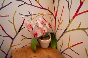 LEvasion du Haut au milieu de la nature