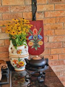 Sisters zhgenti plantacia