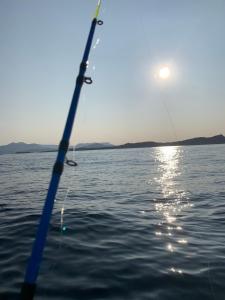 Appartements LeBellevue : photos des chambres