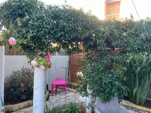 T2 avec jardin