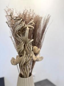 Le Chateaudun, Centre ville de Rennes