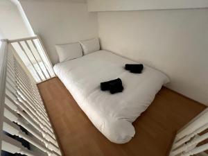 Classic Studio in Pimlico, London
