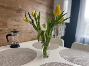 V apartament - ultra central Otopeni