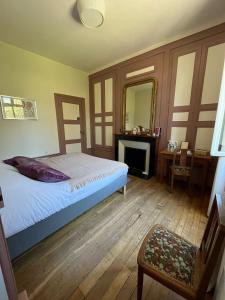 B&B / Chambres d'hotes chateau de Pougy : photos des chambres