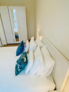 Luxury Flat in city center with free parking-HOL1